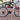 Colatter Oxygen 26''